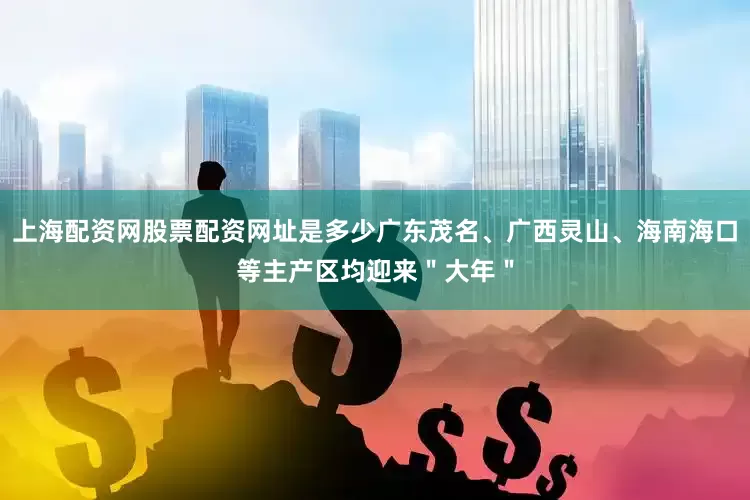上海配资网股票配资网址是多少广东茂名、广西灵山、海南海口等主产区均迎来＂大年＂