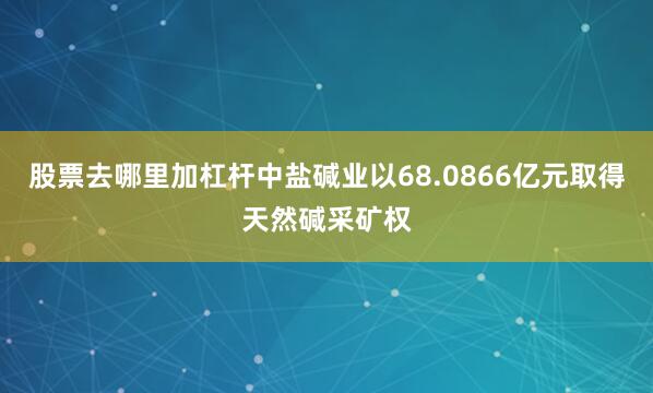 股票去哪里加杠杆中盐碱业以68.0866亿元取得天然碱采矿权