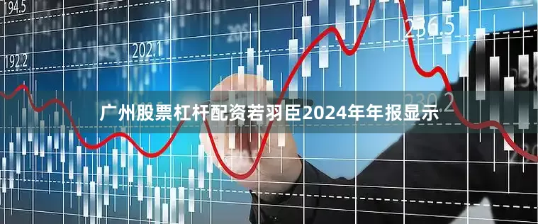 广州股票杠杆配资　　若羽臣2024年年报显示